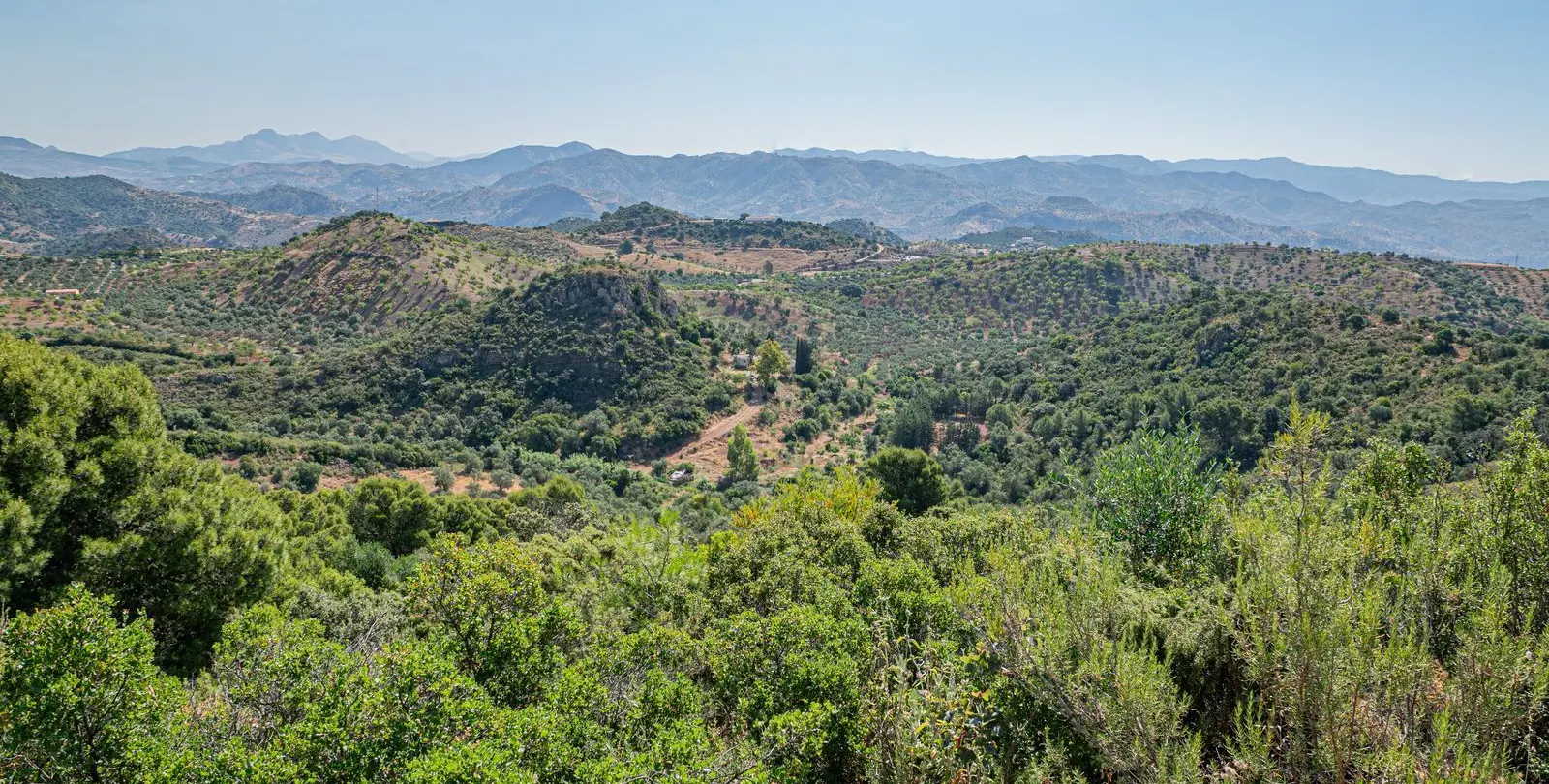 Sale of finca - cortijo in Almogía 37