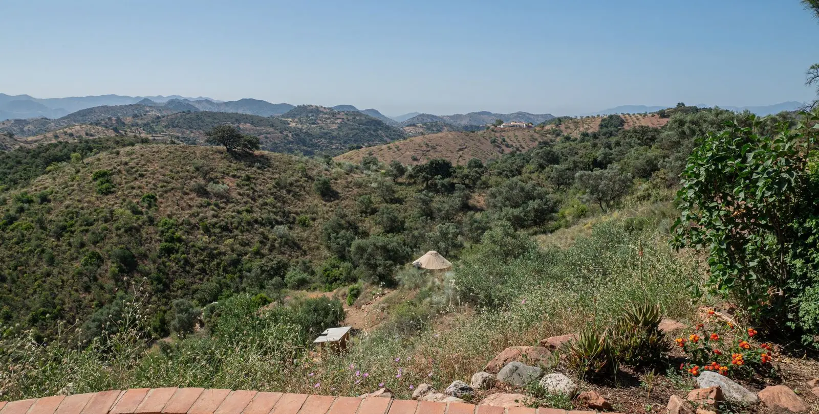 Sale of finca - cortijo in Almogía 40