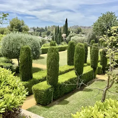 Sale of penthouse in Los Flamingos