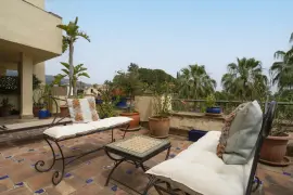 Image 4 thumb