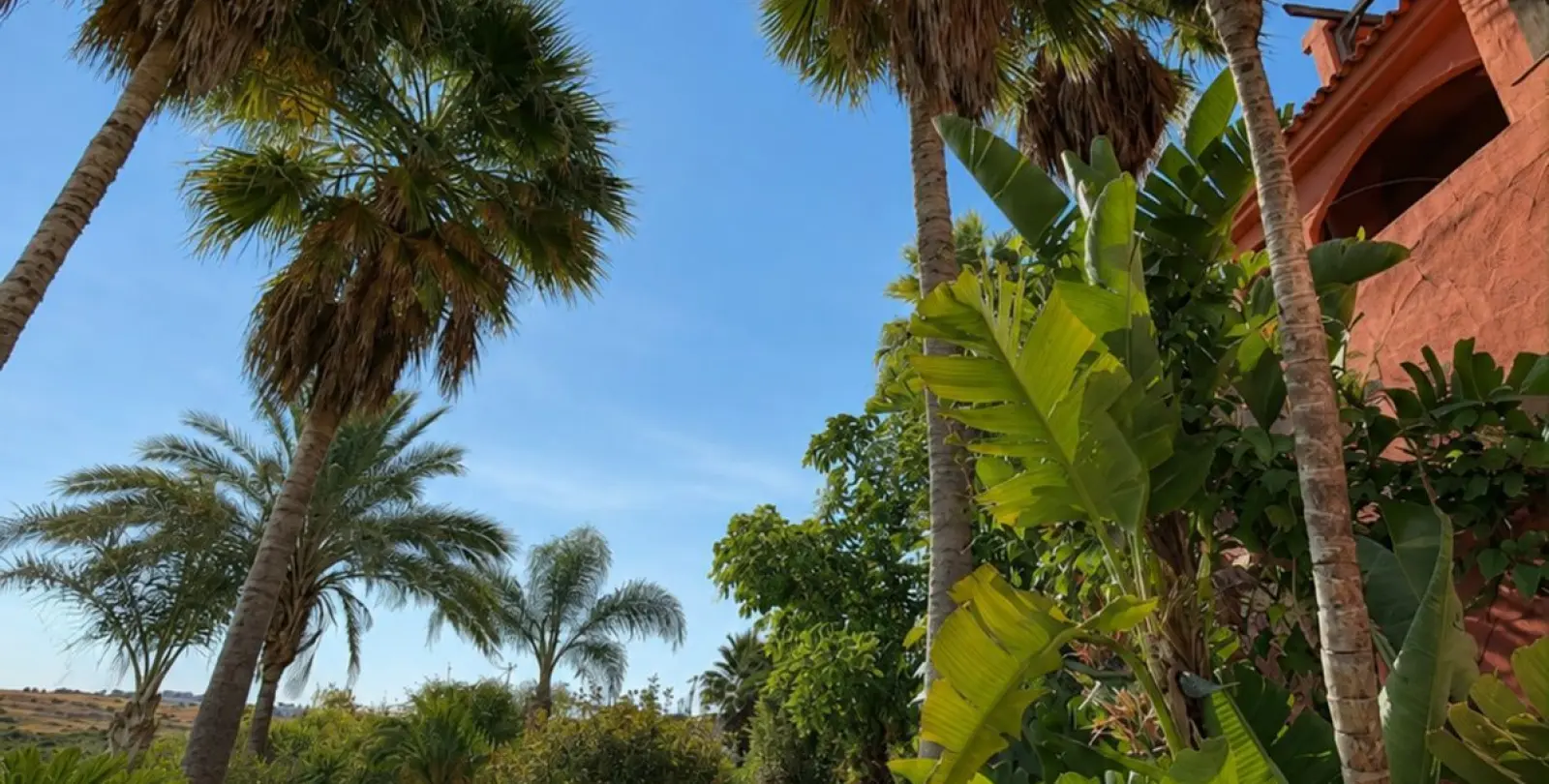 Venta de ático dúplex en Casares 24