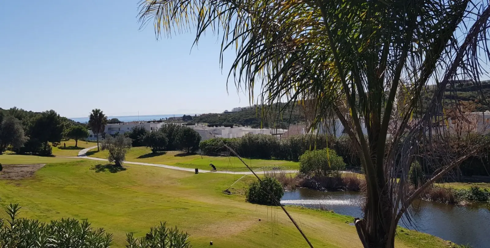 Venta de apartamento en planta baja en Casares 21