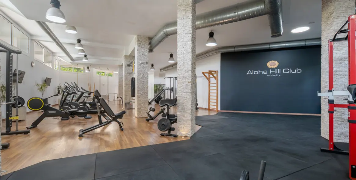 Venta de ático dúplex en Nueva Andalucía 36