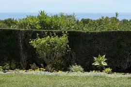 Image 8 thumb