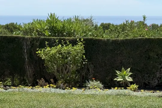 Image 8 thumb