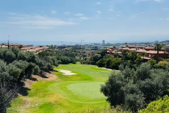 Image 13 thumb