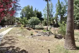 Image 5 thumb