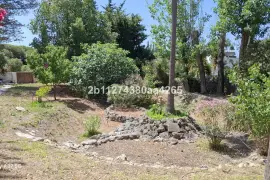 Image 7 thumb
