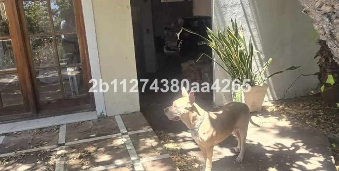 Venta de villa independiente en El Rosario 22