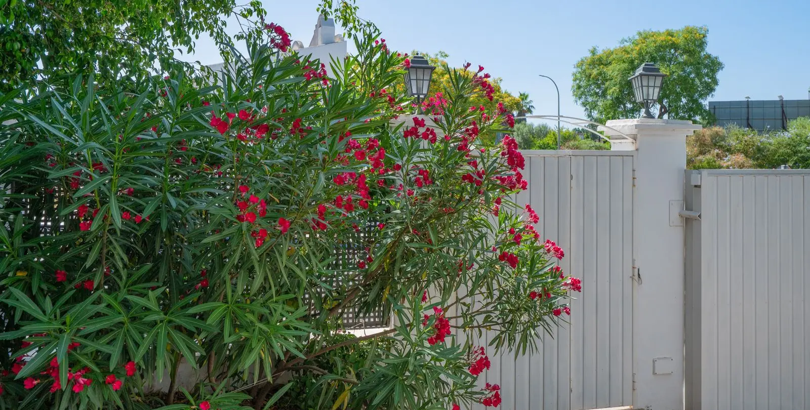 Sale of semi-detached house in Hacienda Las Chapas 17