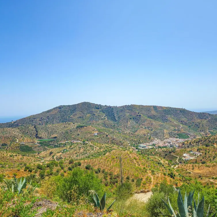 Sale of detached villa in Arenas