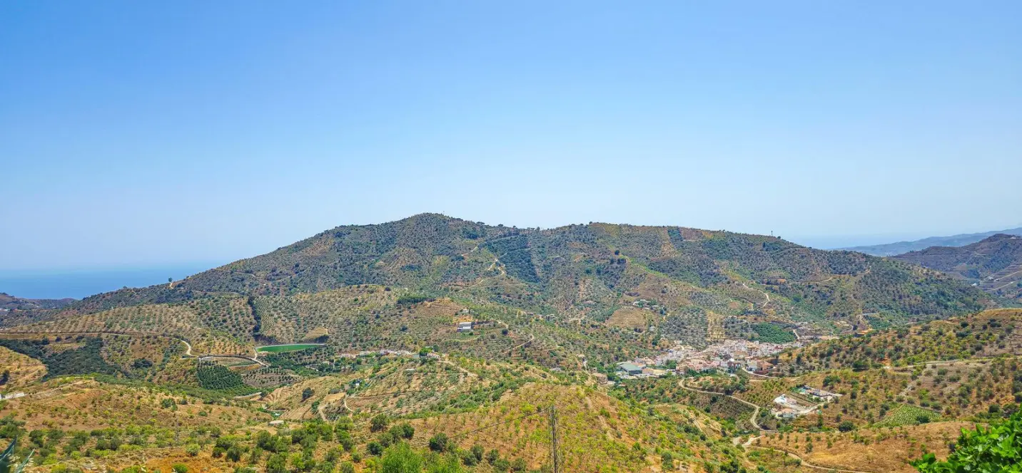 Sale of detached villa in Arenas 3