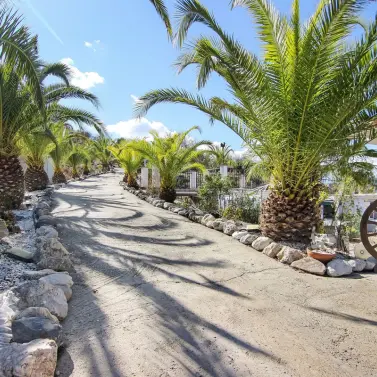 Venta de finca - cortijo en Guaro