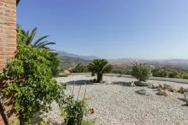 Image 8 thumb