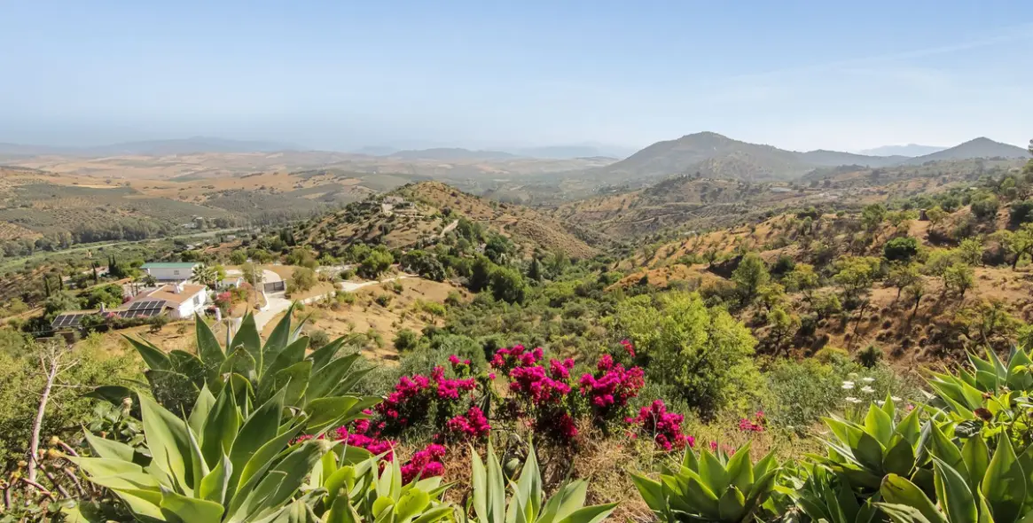 Venta de finca - cortijo en Guaro 32