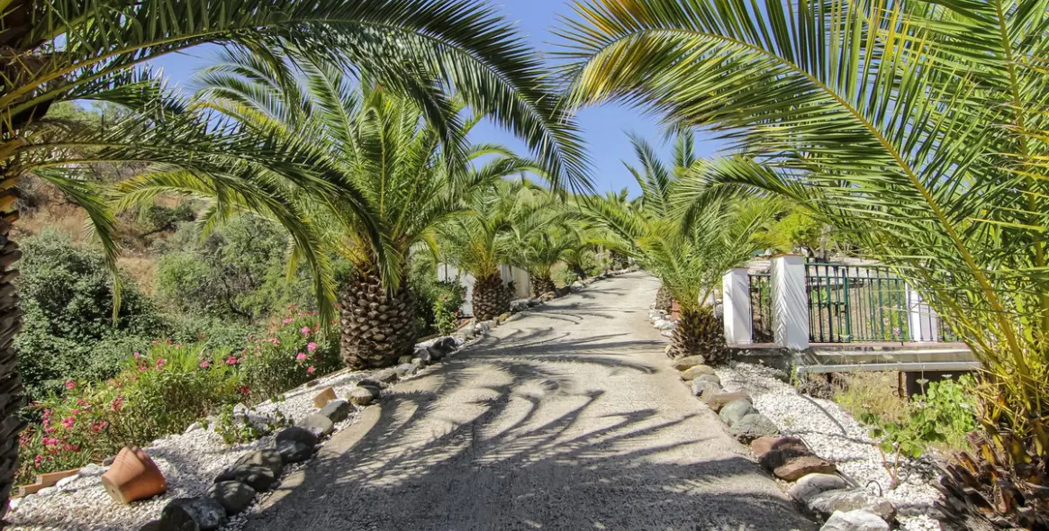 Venta de finca - cortijo en Guaro 34
