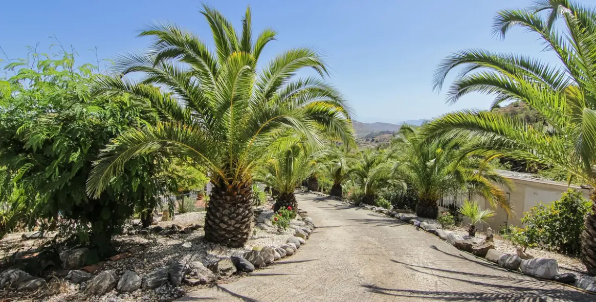 Venta de finca - cortijo en Guaro 35