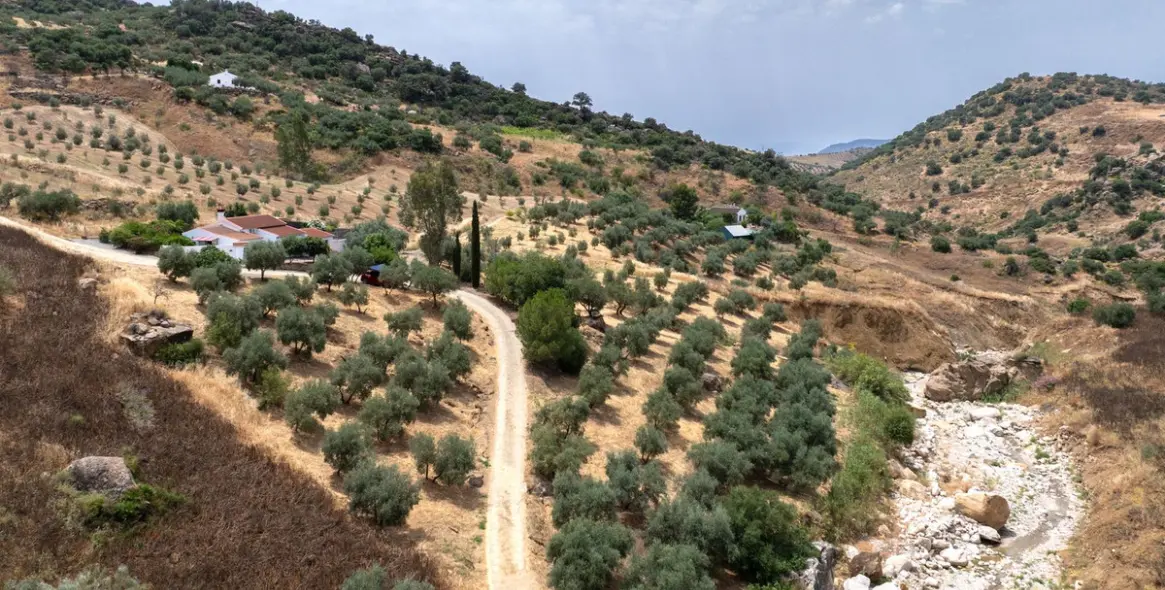 Venta de finca - cortijo en Alora 39