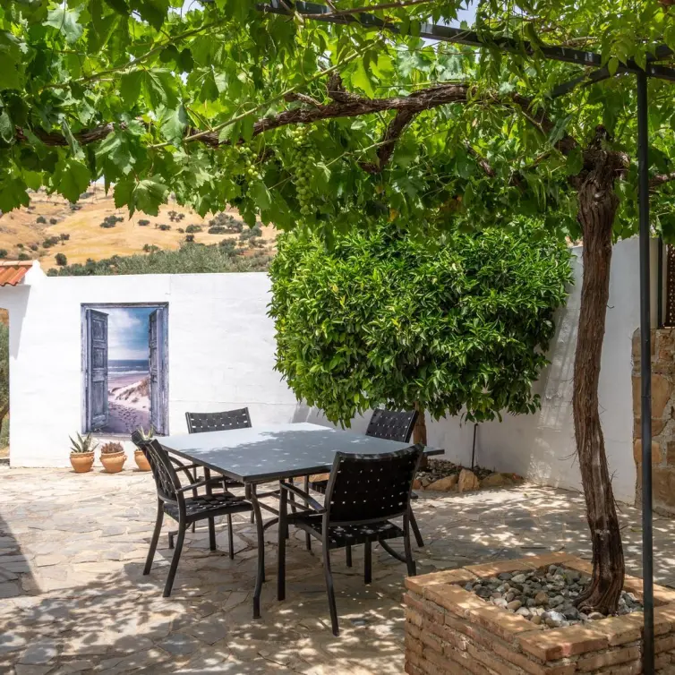 Sale of finca - cortijo in Alora