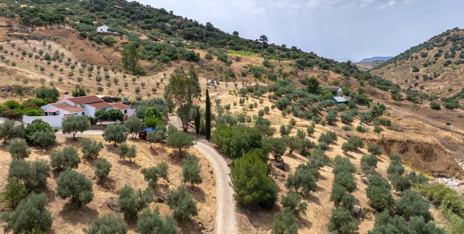 Sale of finca - cortijo in Alora 38