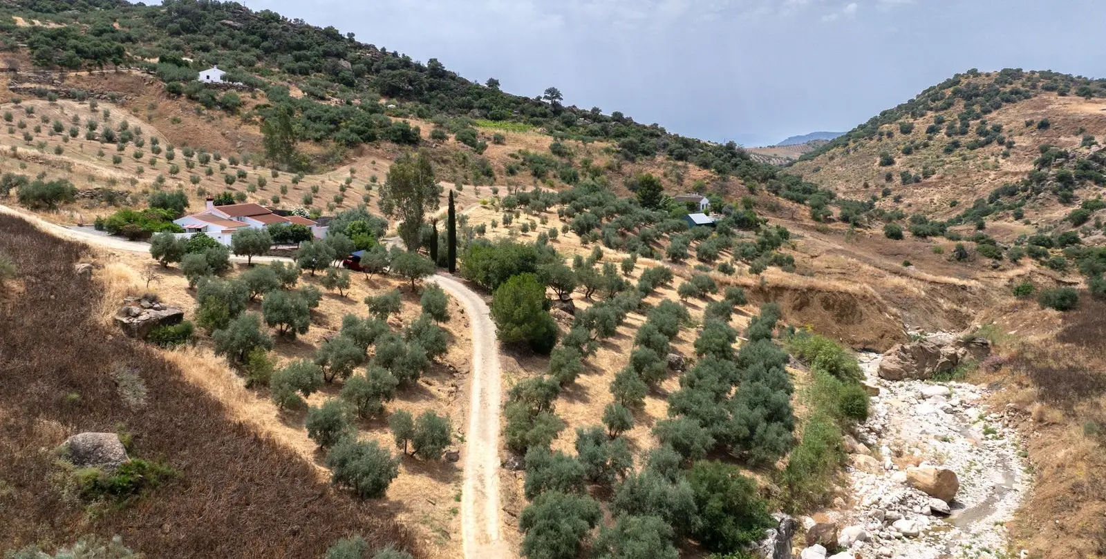 Sale of finca - cortijo in Alora 39