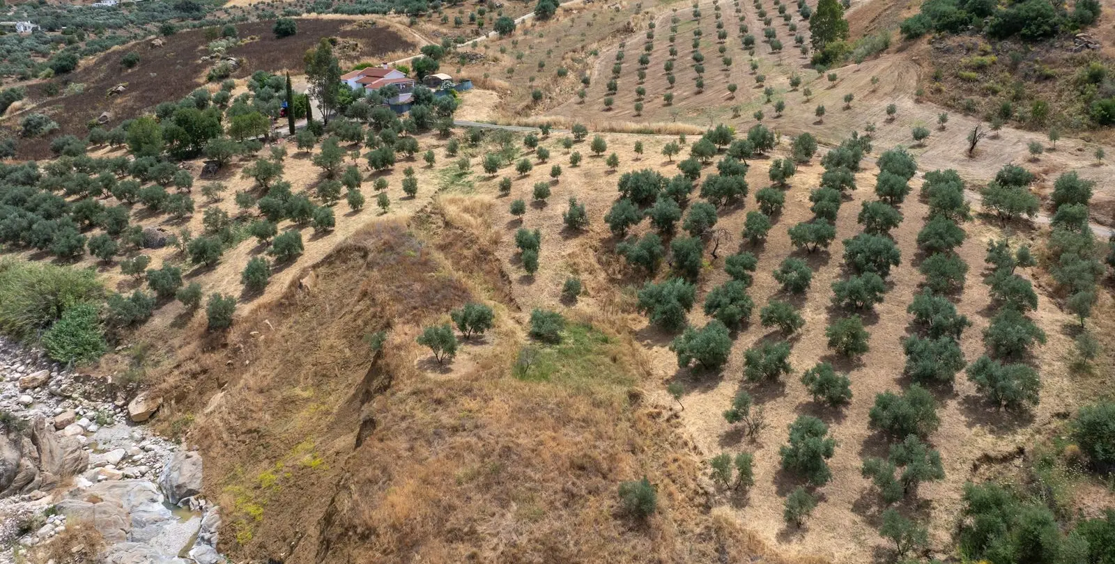 Sale of finca - cortijo in Alora 40