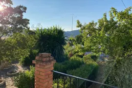 Image 8 thumb