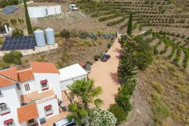 Image 6 thumb