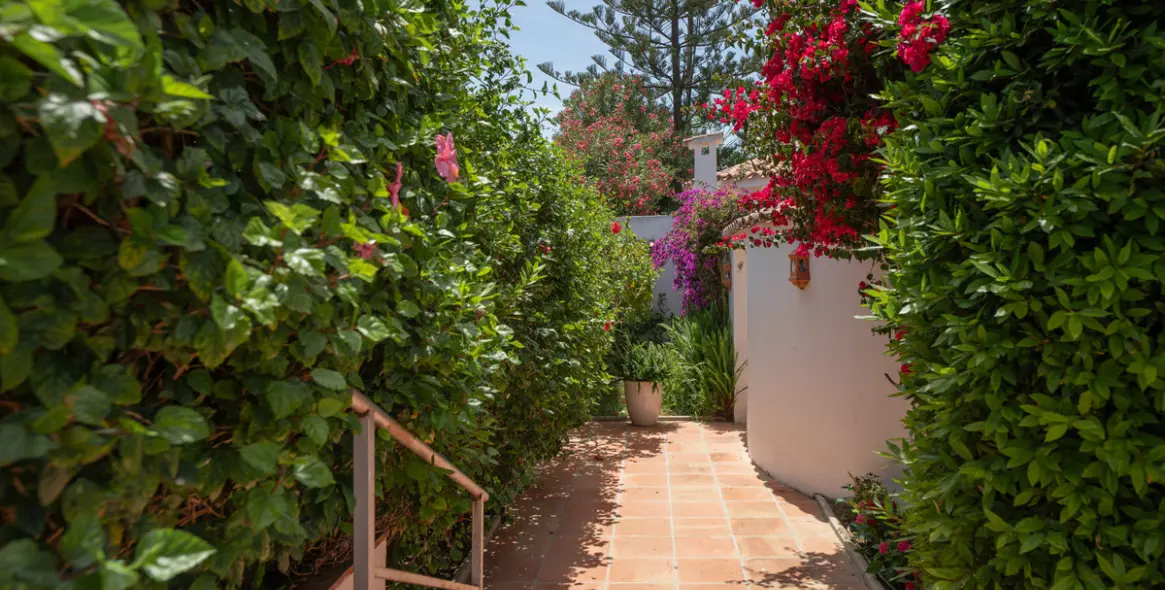 Venta de villa independiente en San Pedro de Alcántara 38