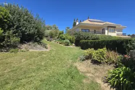 Image 4 thumb