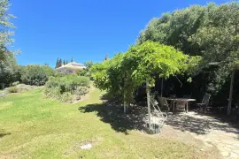 Image 12 thumb