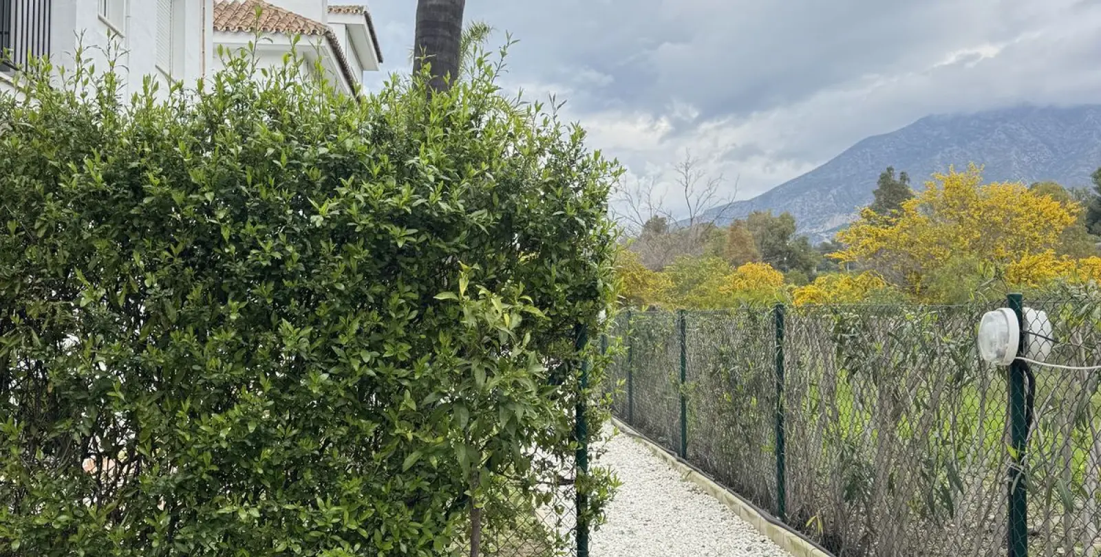 Venta de apartamento en planta baja en Nueva Andalucía 11