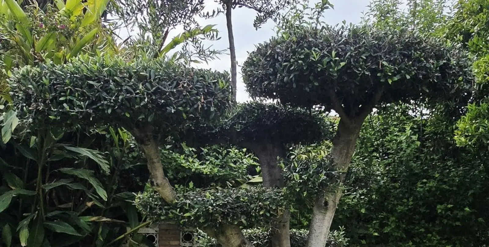 Venta de villa independiente en Rincón de la Victoria 13