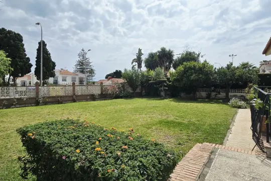 Image 15 thumb