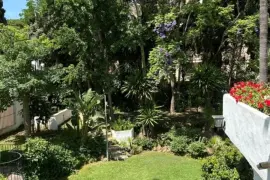 Image 4 thumb
