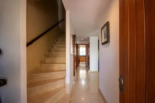 Image 9 thumb