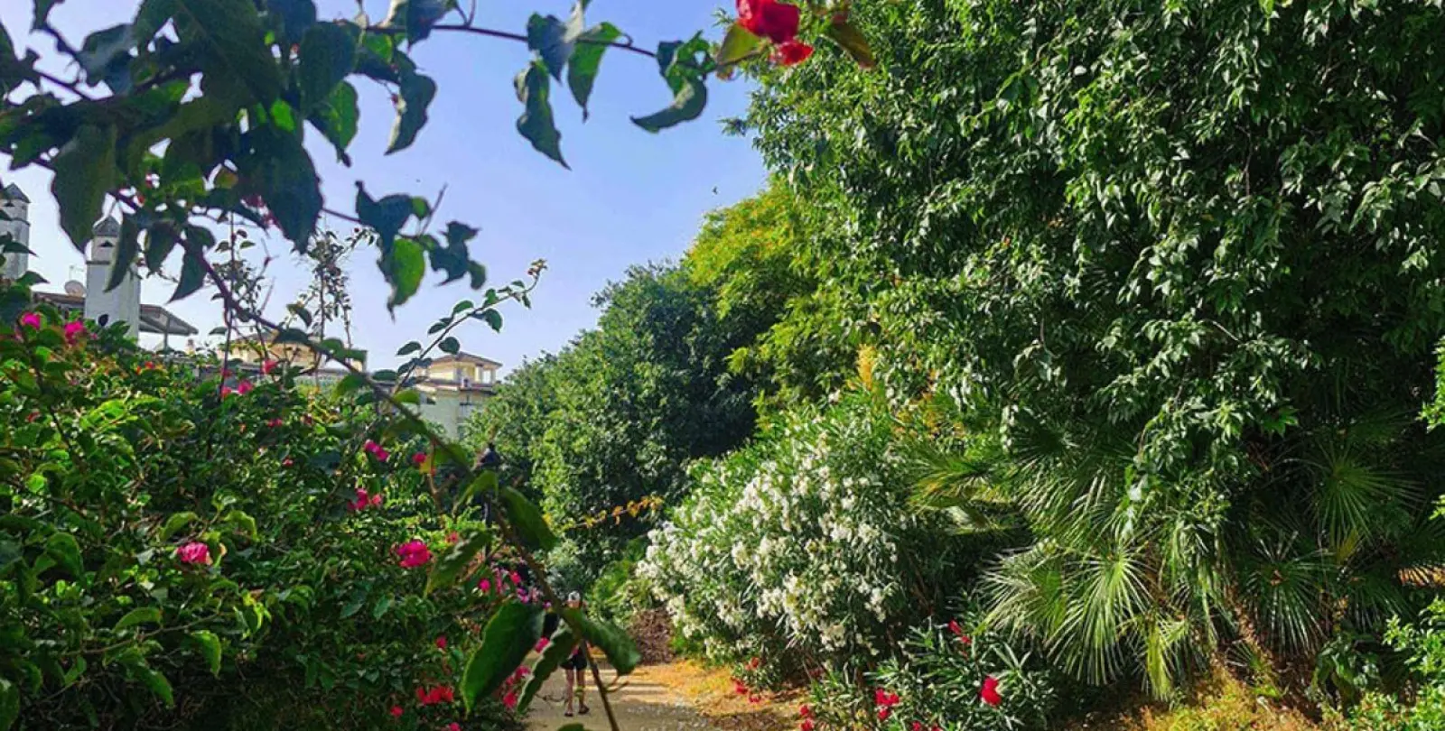 Sale of townhouse in Estepona 41