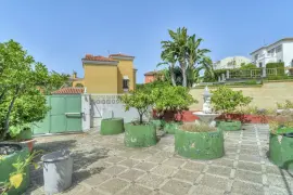 Image 6 thumb
