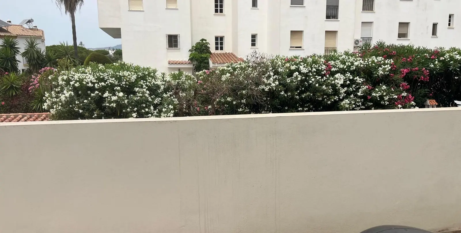 Продажа апартаментов на первом этаже в Estepona 35
