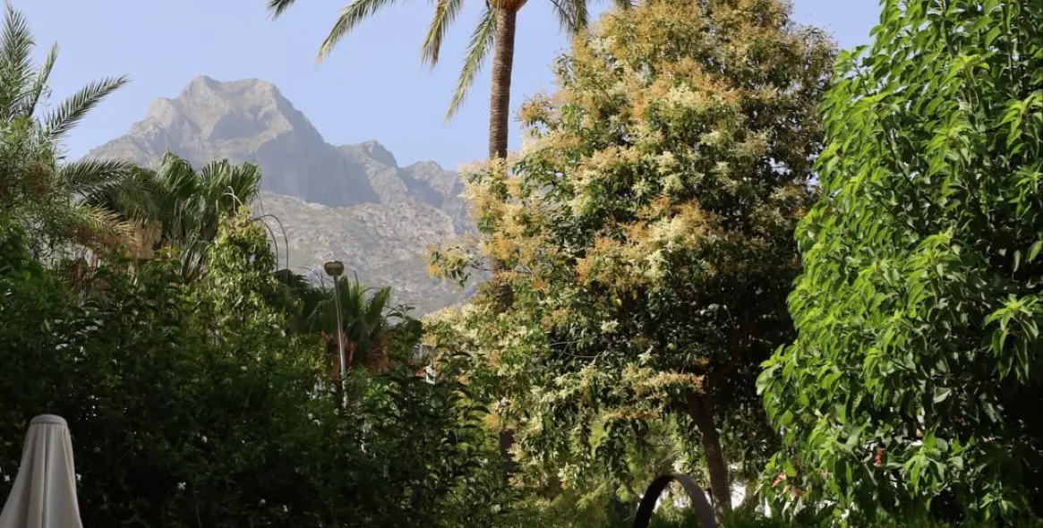 Venta de apartamento en planta baja en Marbella 24