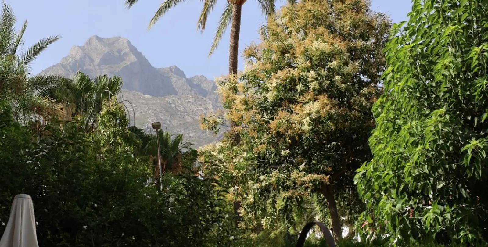Sale of ground floor apartment in Marbella 24