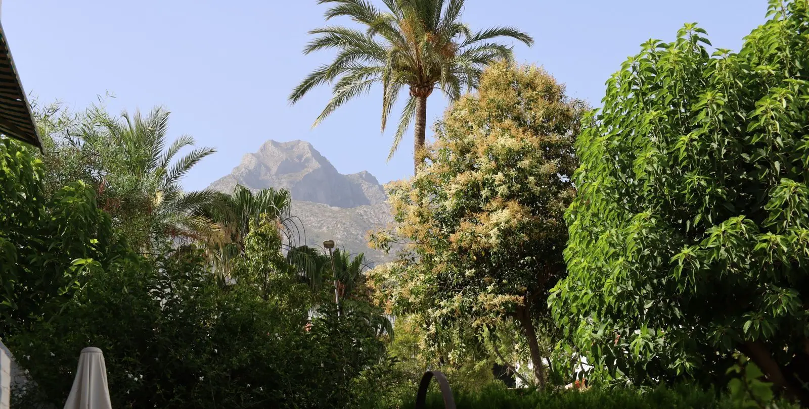 Sale of ground floor apartment in Marbella 25