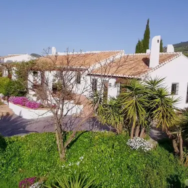 Продажа финки в Villanueva De La Concepcion