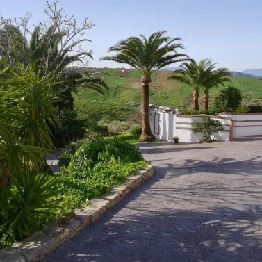Продажа финки в Villanueva De La Concepcion