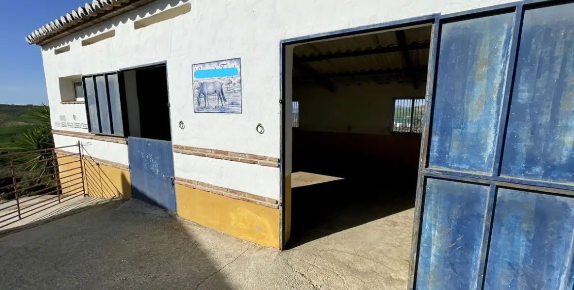 Продажа финки в Villanueva De La Concepcion 45