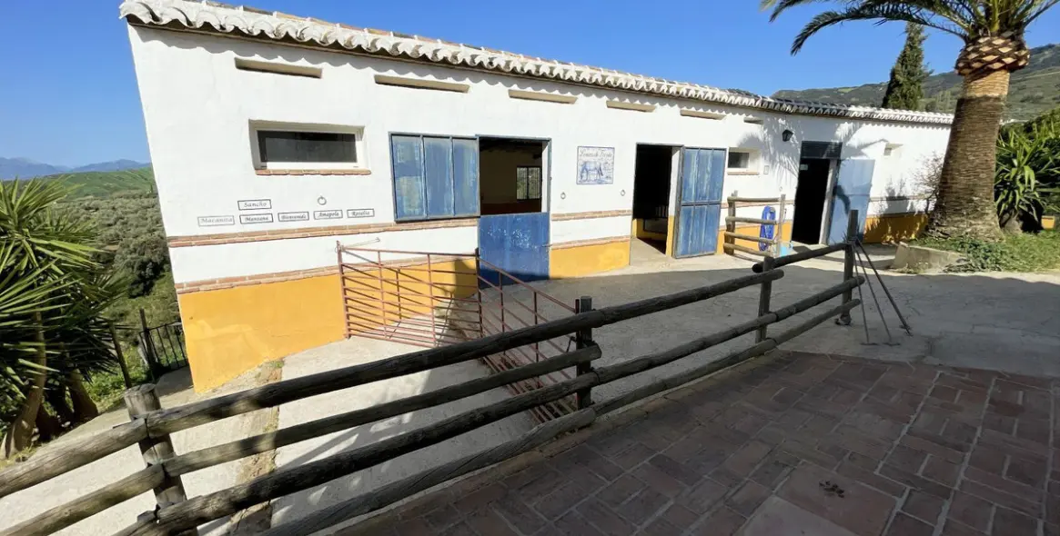 Продажа финки в Villanueva De La Concepcion 48