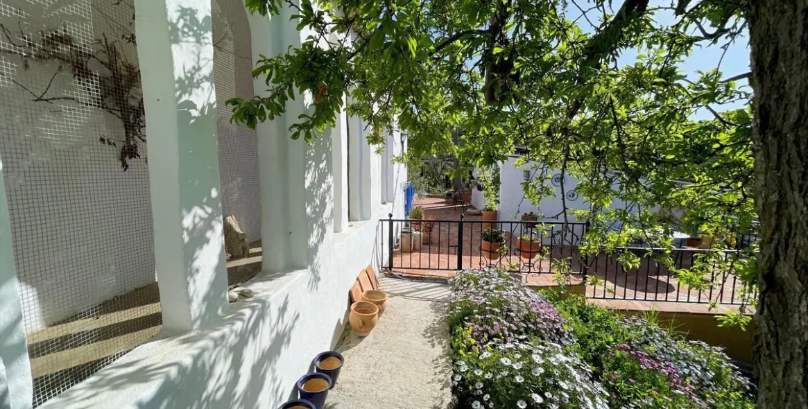 Продажа финки в Villanueva De La Concepcion 77