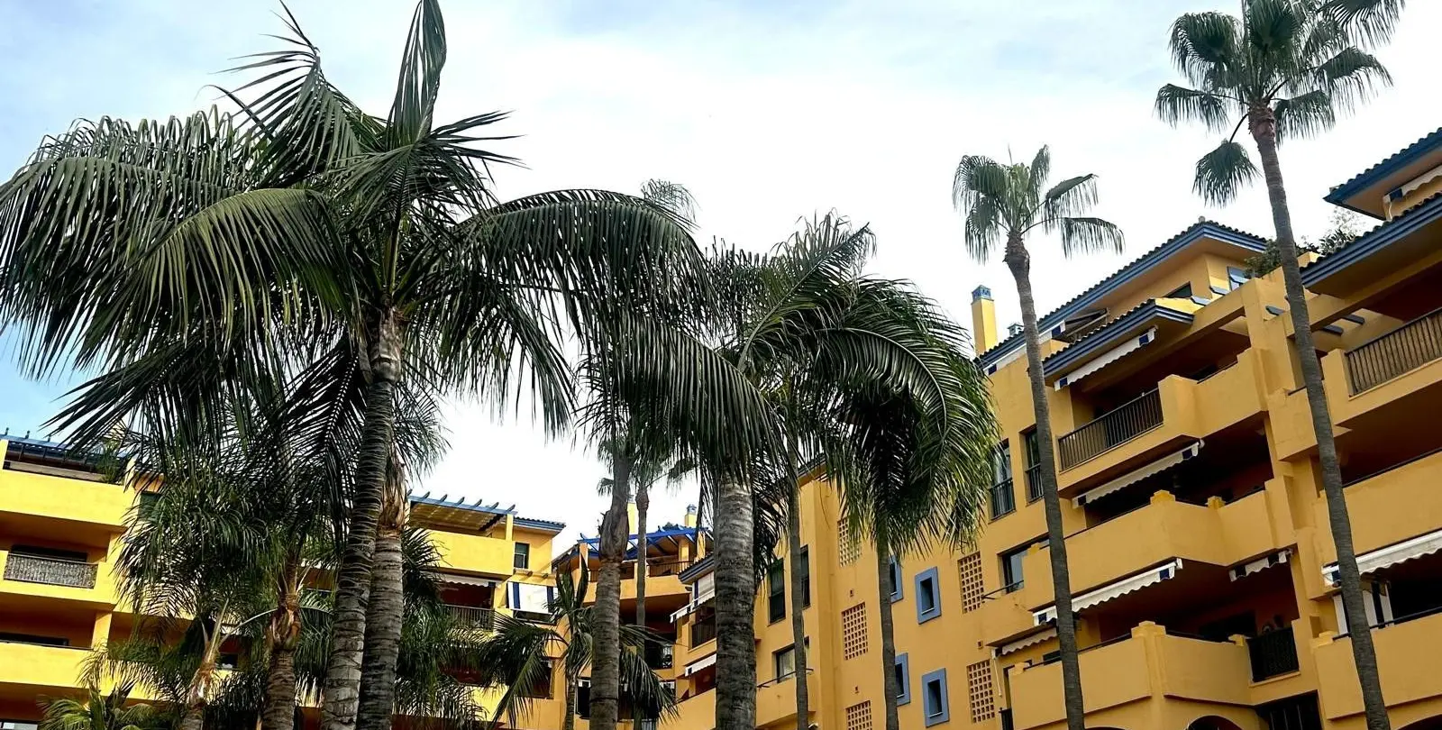 Venta de apartamento en planta media en San Pedro de Alcántara 19