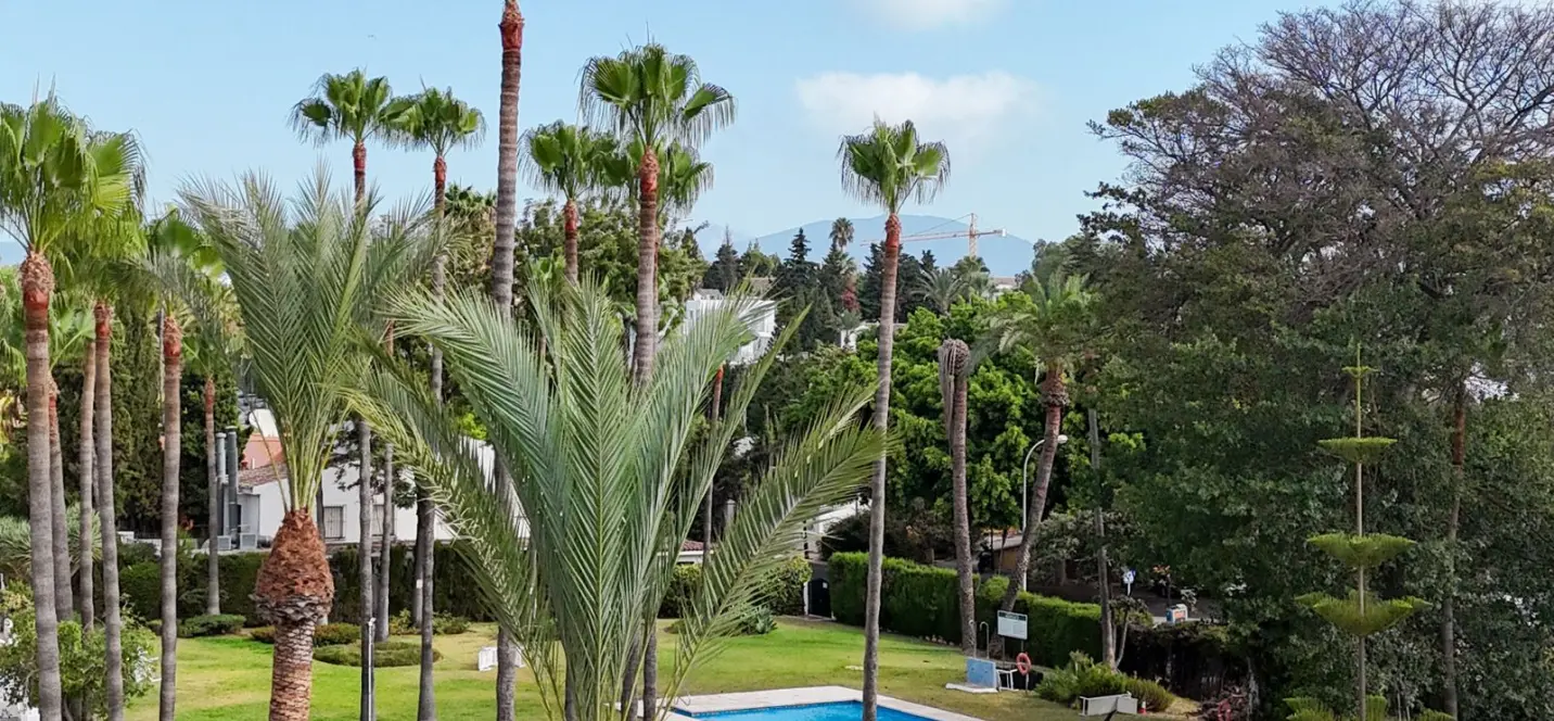 Sale of penthouse in Nueva Andalucía 1