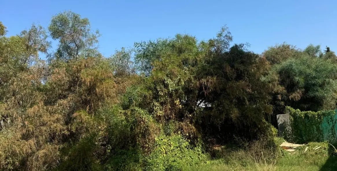 Venta de parcela residencial en Atalaya 3
